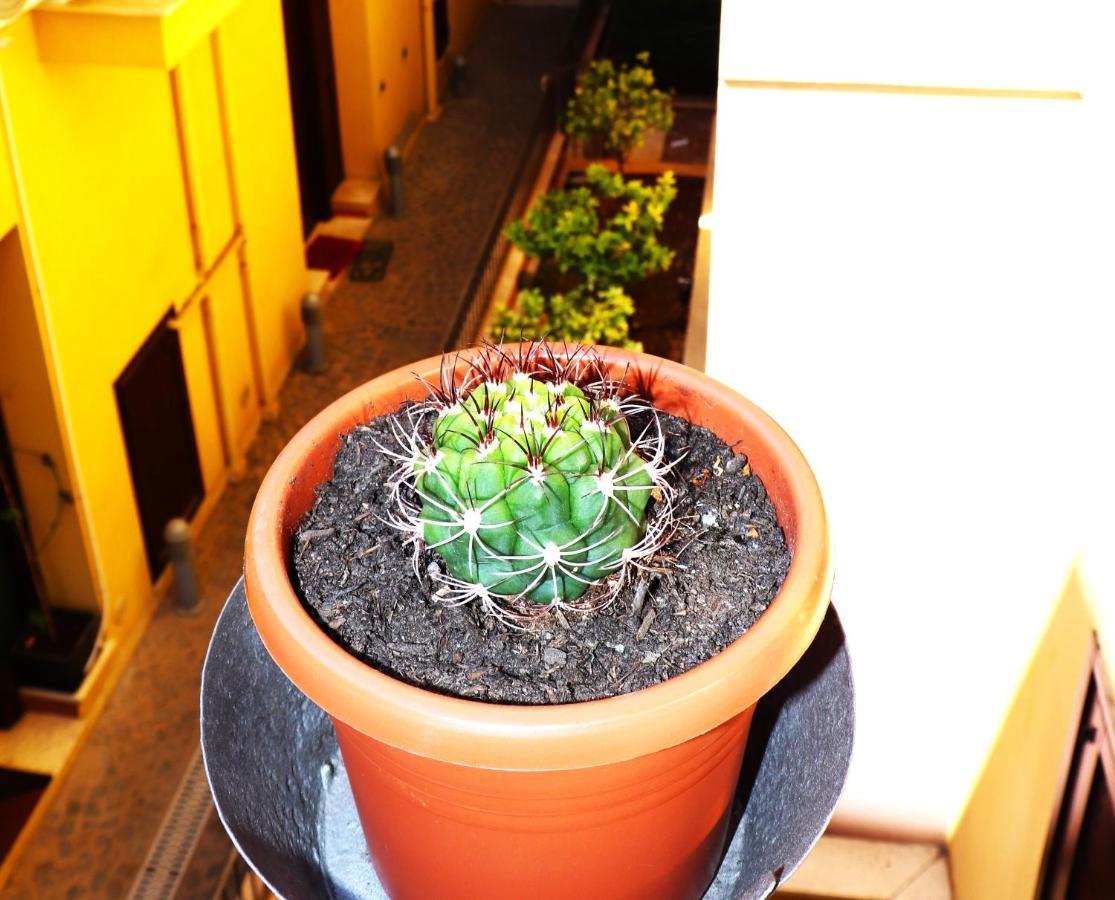 I Vicini del Re Holiday Home Palermo Exterior foto